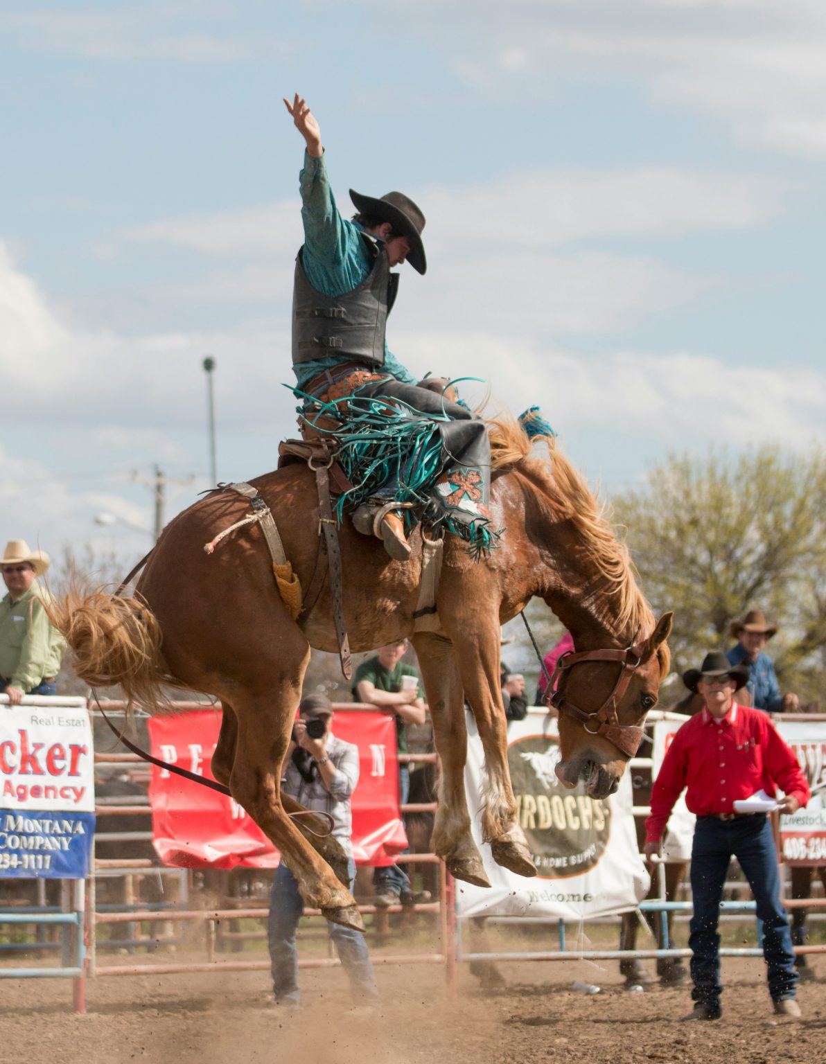 bronc
