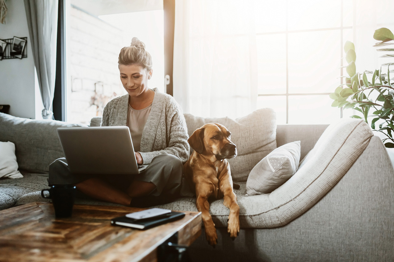 Businesswoman working on laptop computer sitting at home with a dog pet and managing her business via home office during Coronavirus or Covid-19 quarantine