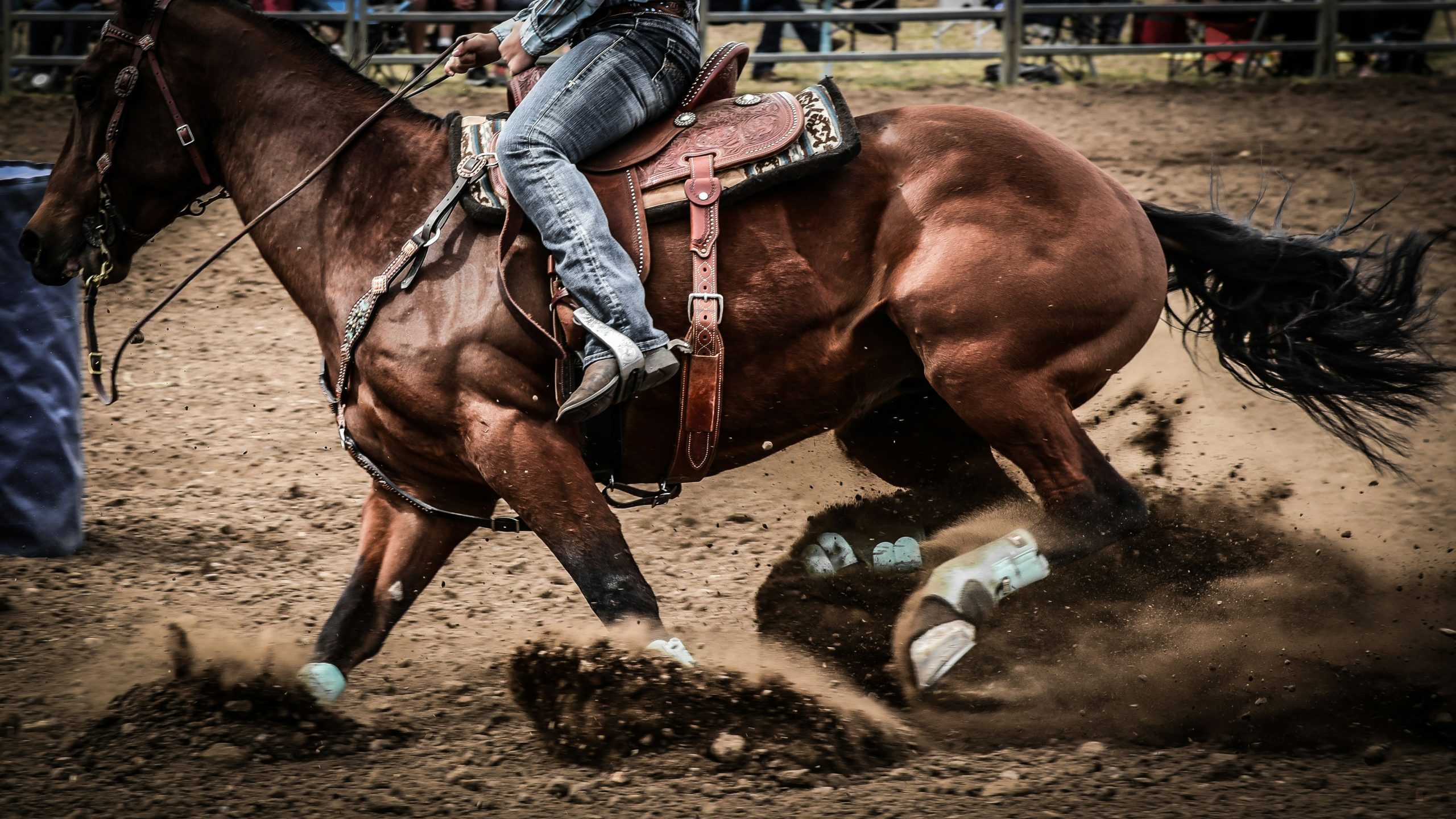 barrel racer