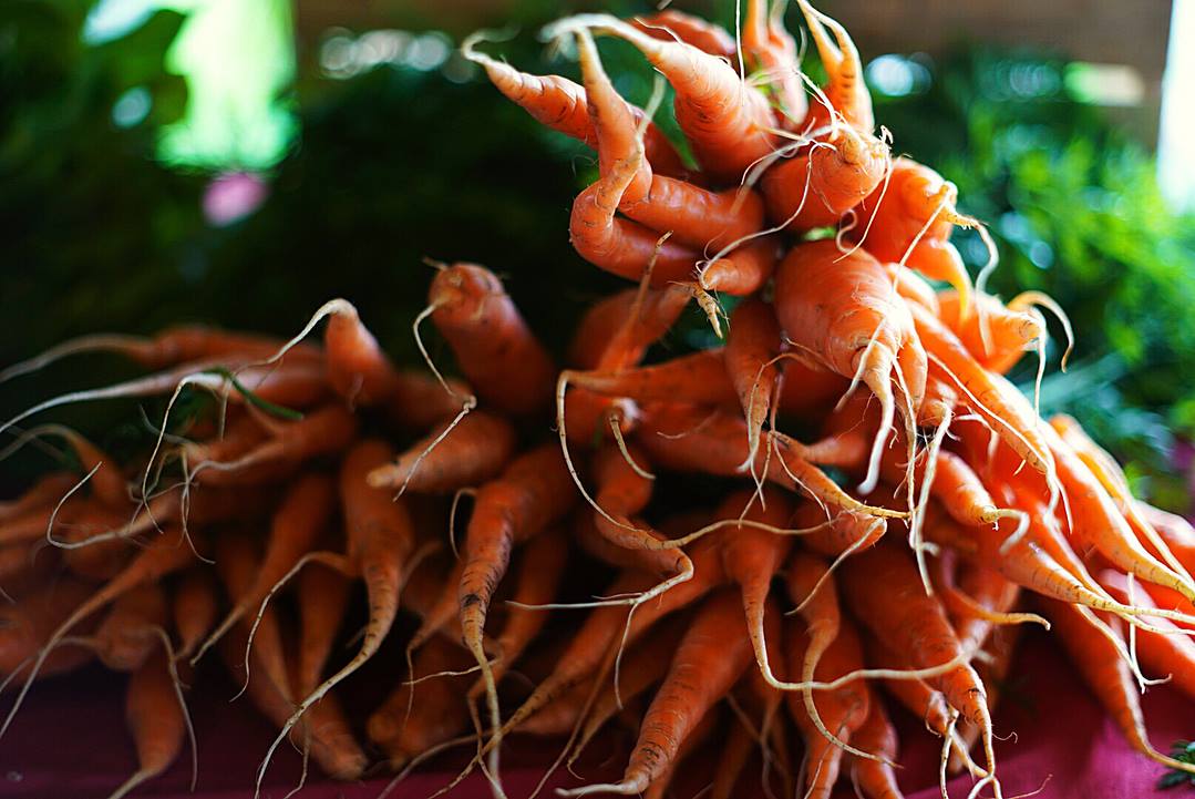 farmers market 2