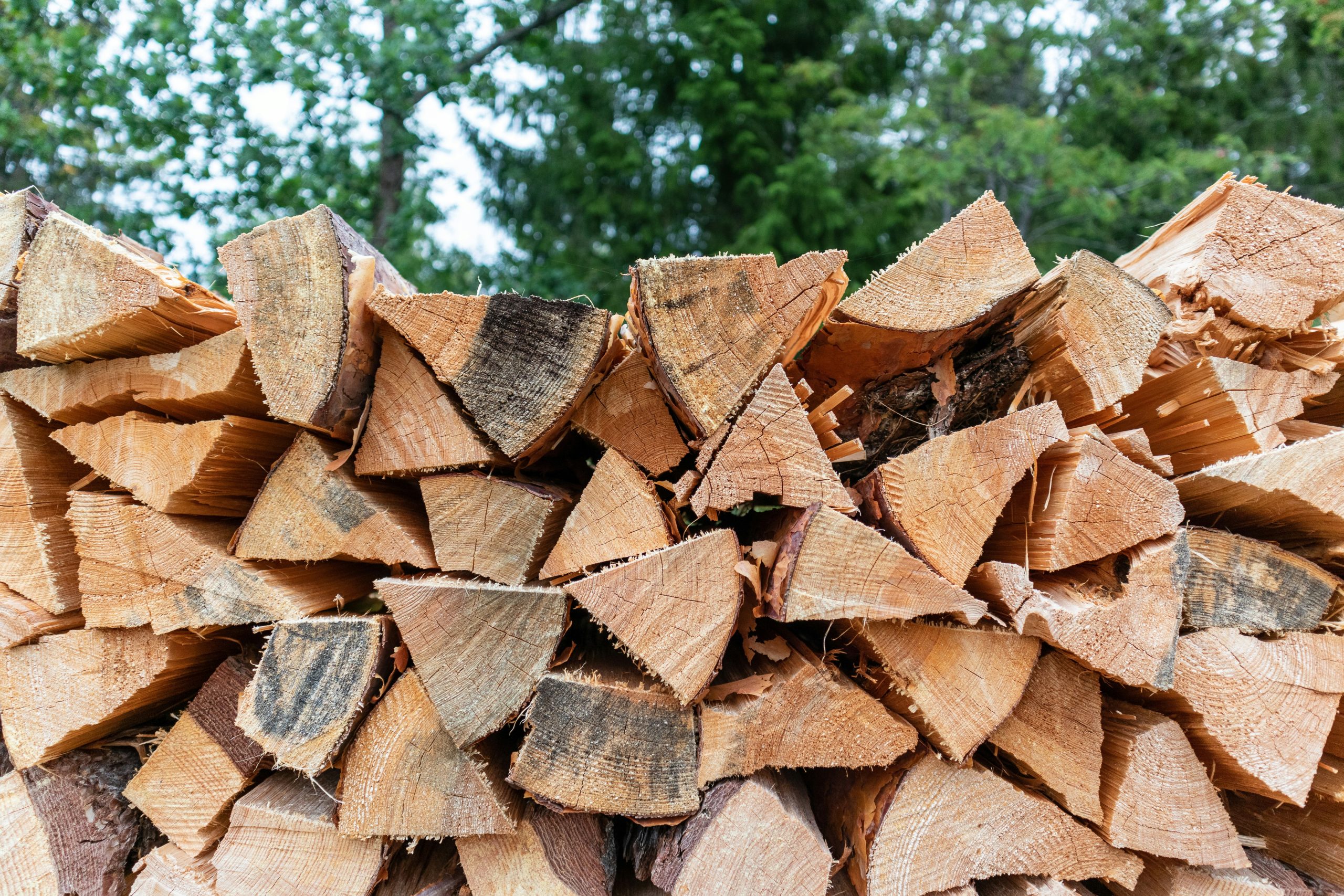 firewood